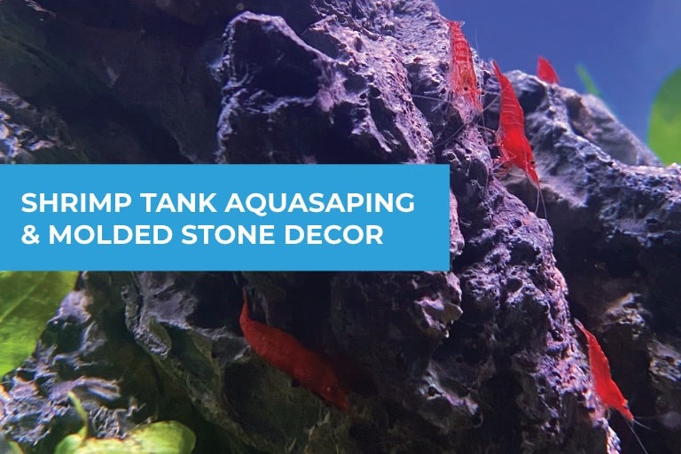 Aquascaping a Shrimp Tank with Molded Decor Stones
