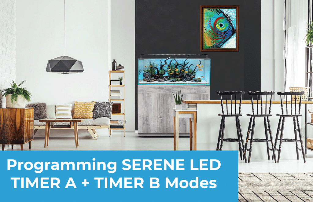 Serene LED Controller – Programming Daily ON/OFF with a Custom Scene