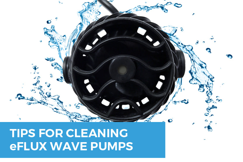 Tips for cleaning your Wave Pumps