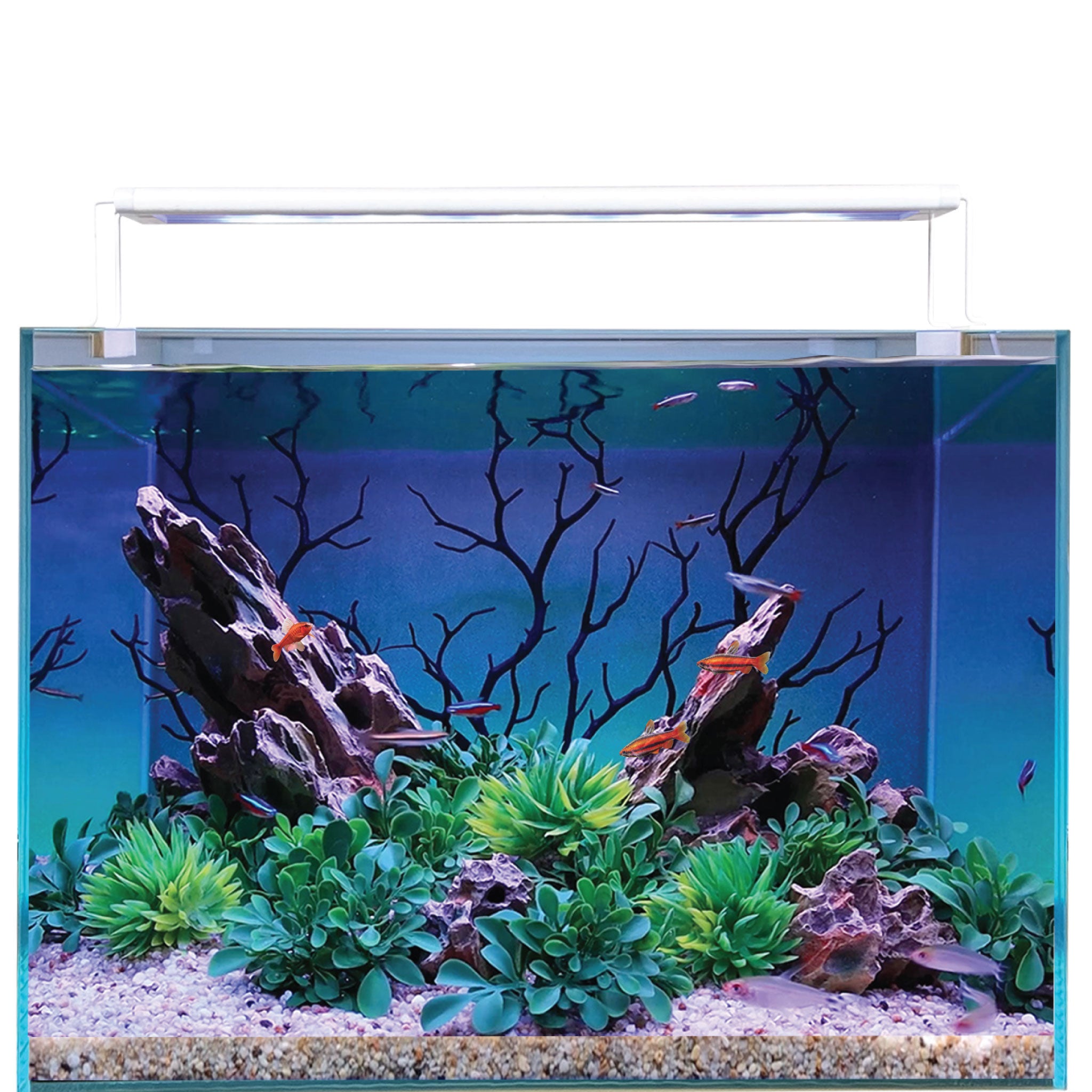 Serene ColorPlus Smart Aquarium LED Light 24