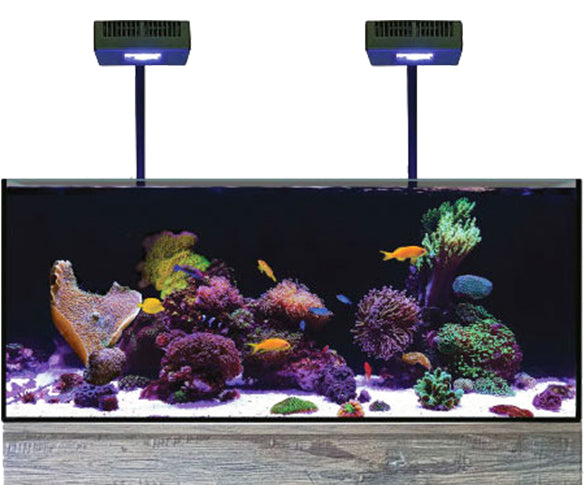 Orbit R24 REEF LED Light for SPS and LPS Corals