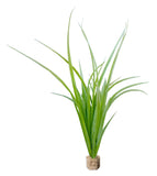 Fountain Grass Light Green with Weighted Base