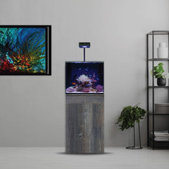 LED4-_1_medium.jpg?v=1656432263