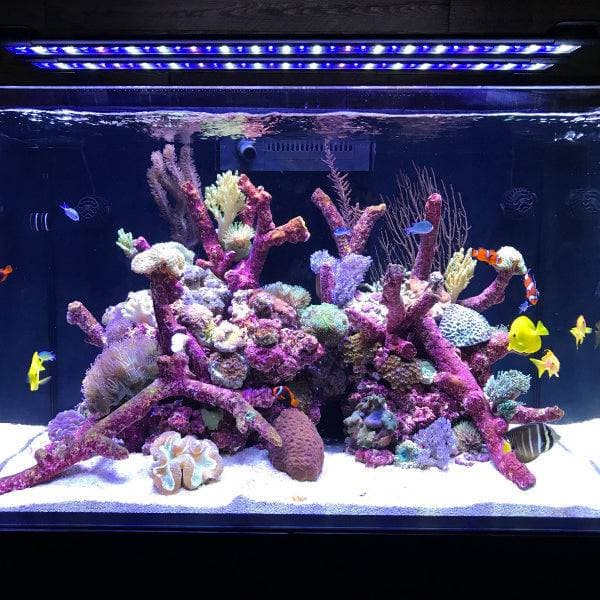 Orbit Led Fish Orbit Marine IC Add-on LED Aquarium Light 48