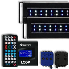 Orbit Marine IC PRO Dual LED Light with LOOP Light and Wave